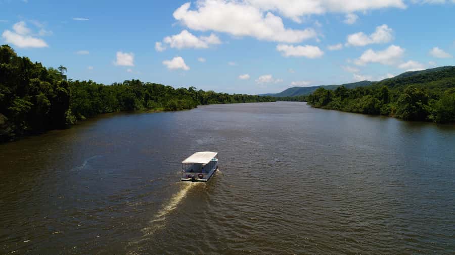 Cairns: Daintree Rainforest Wildlife Experience Cruise - A slow cruise through crocodile country