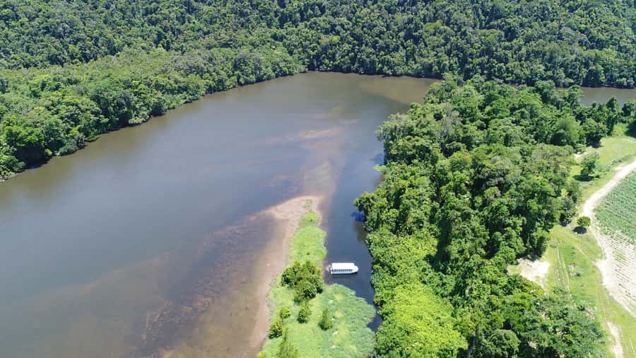Cairns: Daintree Rainforest Wildlife Experience Cruise - More than crocodiles: mangroves, snakes, and birds