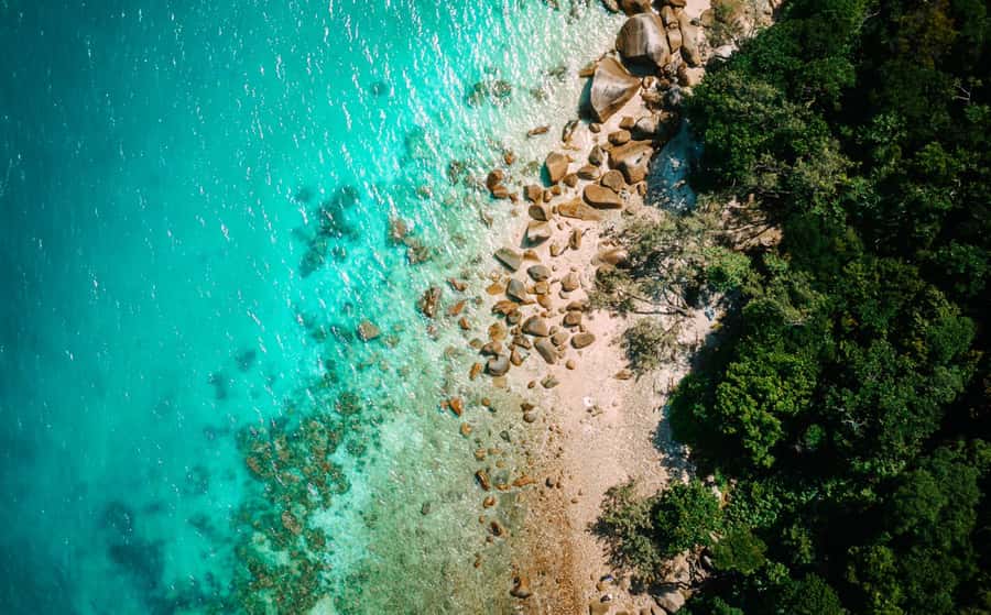 Cairns: Fitzroy Island Ferry w/ Snorkel, Lunch, Tour Options - How to use your 4.5 hours wisely