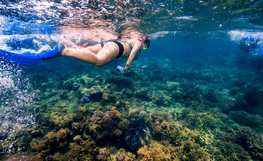 Cairns: Frankland Islands Great Barrier Reef Tour - What the nine-hour day really feels like