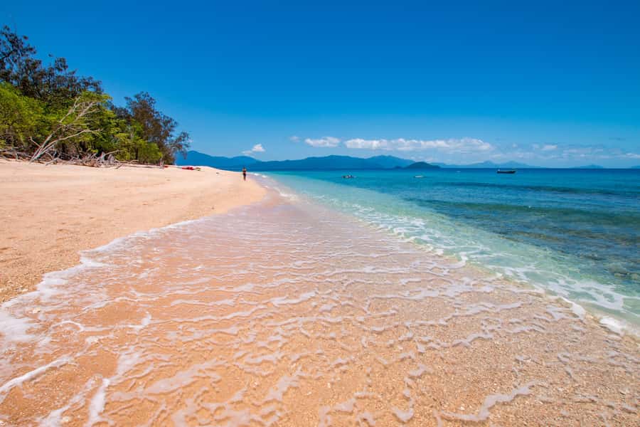 Cairns: Frankland Islands Great Barrier Reef Tour - Who should book this island day?