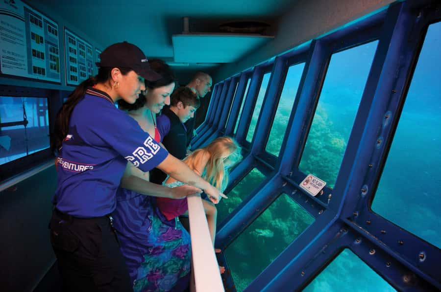 Cairns: Full Day Great Barrier Reef Pontoon Experience - Lunch, tea, and time to reset