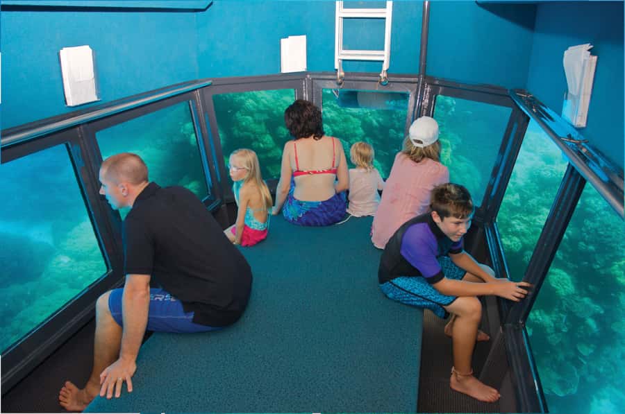 Cairns: Full Day Great Barrier Reef Pontoon Experience - Who will get the most from this trip