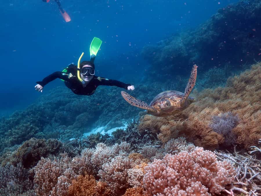 Cairns: Great Barrier Reef Cruise & 10 Minute Helicopter - Who should choose this reef tour