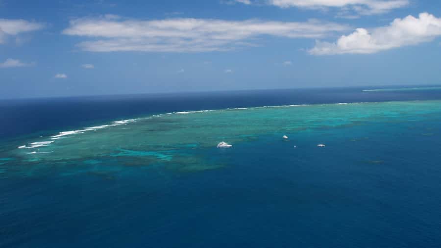 Cairns: Great Barrier Reef Cruise & Scenic Helicopter Flight - Saxon Reef: your first two hours in the water