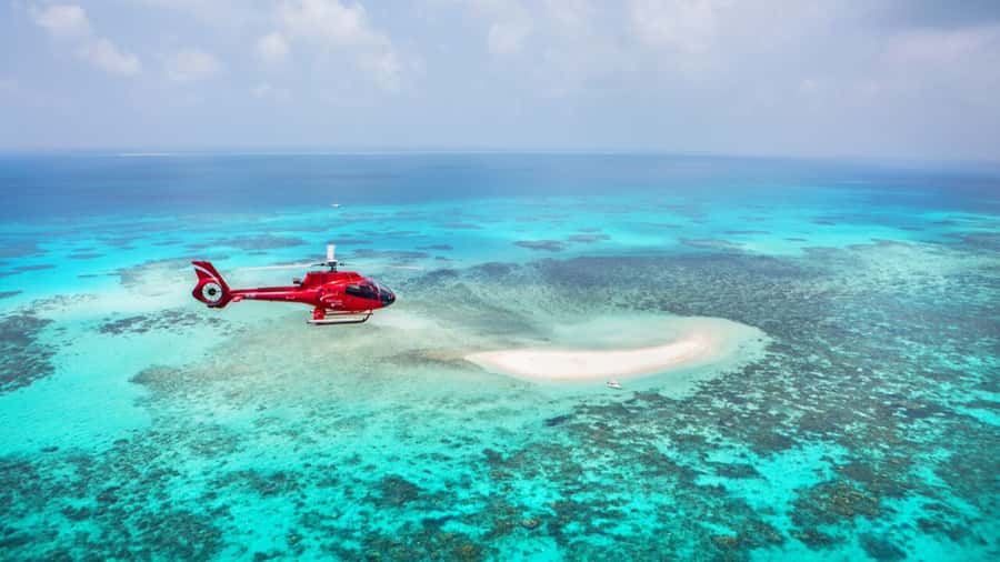 Cairns: Great Barrier Reef Cruise & Scenic Helicopter Flight - Hastings Reef and the helicopter flight