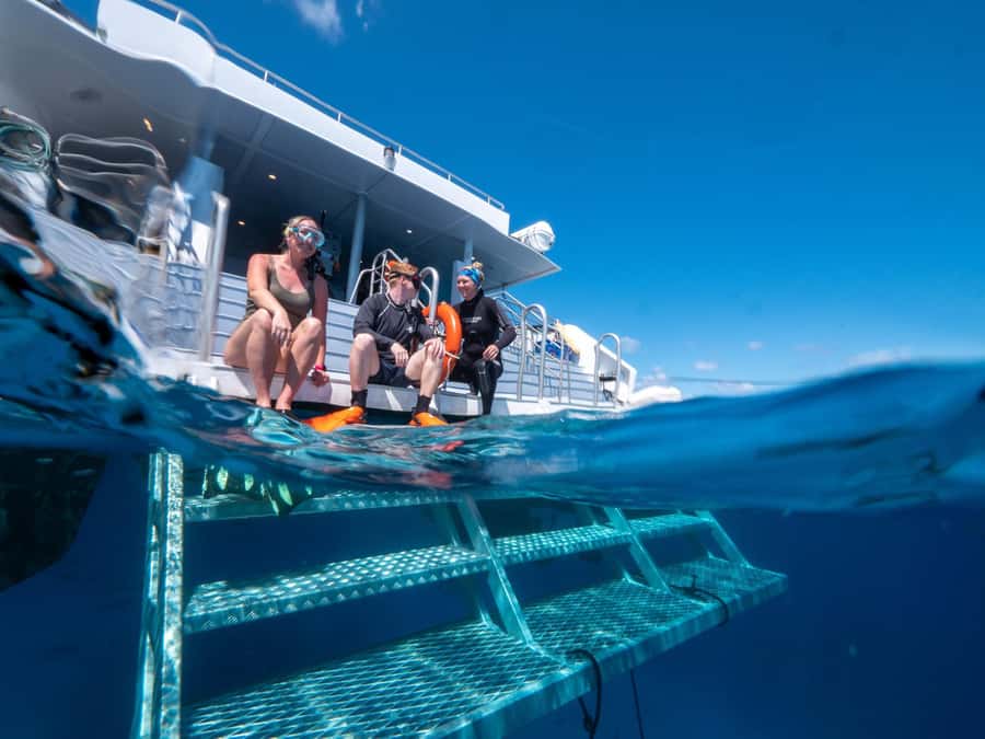 Cairns: Great Barrier Reef Full-Day Tour - Who will get the most from this tour