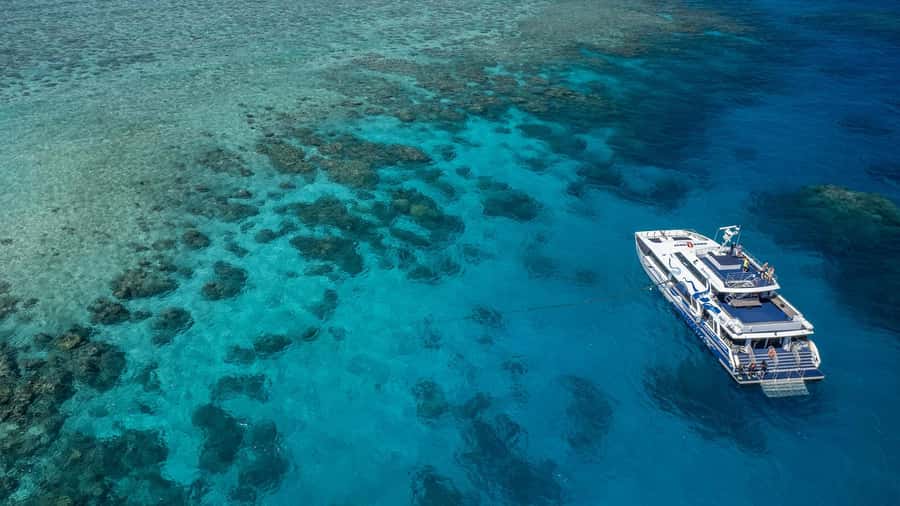 Cairns: Great Barrier Reef Full-Day Tour - What happens at the two reef sites