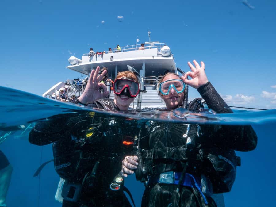 Cairns: Great Barrier Reef Full-Day Tour - Guided snorkeling for beginners and non-swimmers