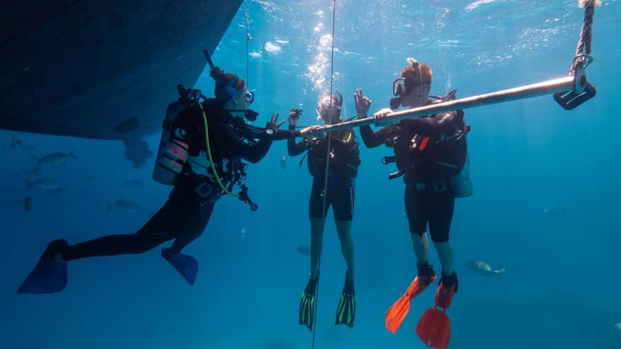 Cairns: Great Barrier Reef Full-Day Tour - Food, showers, and the practical comforts