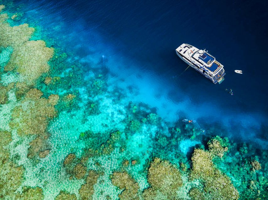 Cairns: Great Barrier Reef Full-Day Tour - Optional scuba for a bigger underwater view