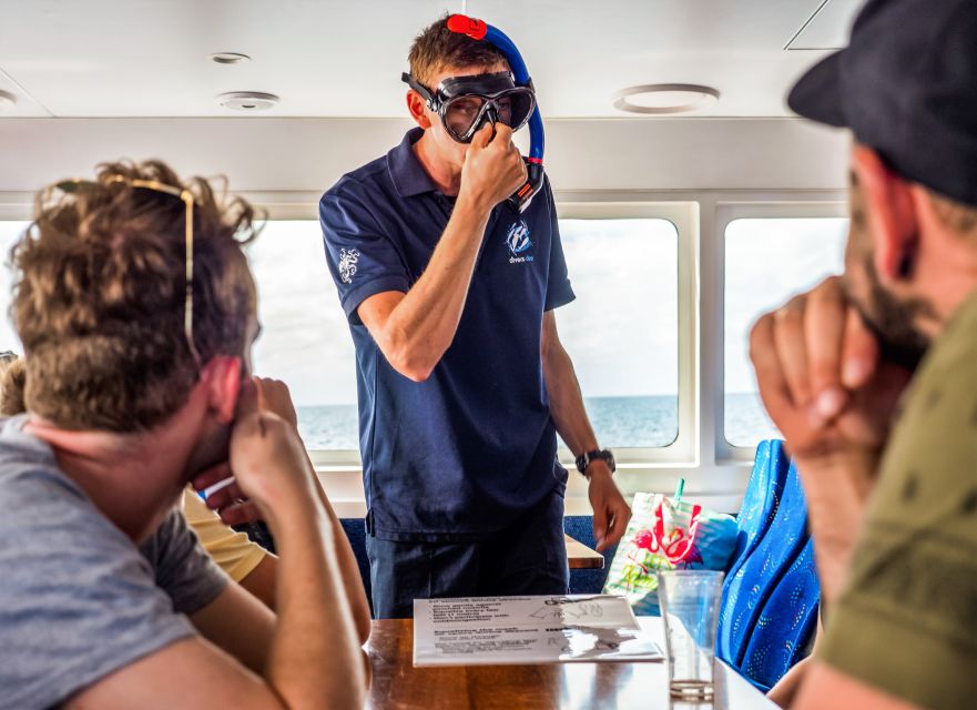 Cairns: Great Barrier Reef Full-Day Tour - Crew care, safety, and the group experience