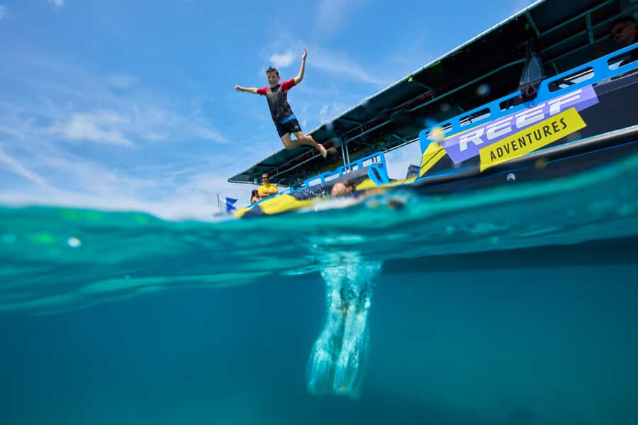 Cairns: Great Barrier Reef Half-Day Snorkelling Tour - A four-hour Great Barrier Reef plan from Cairns