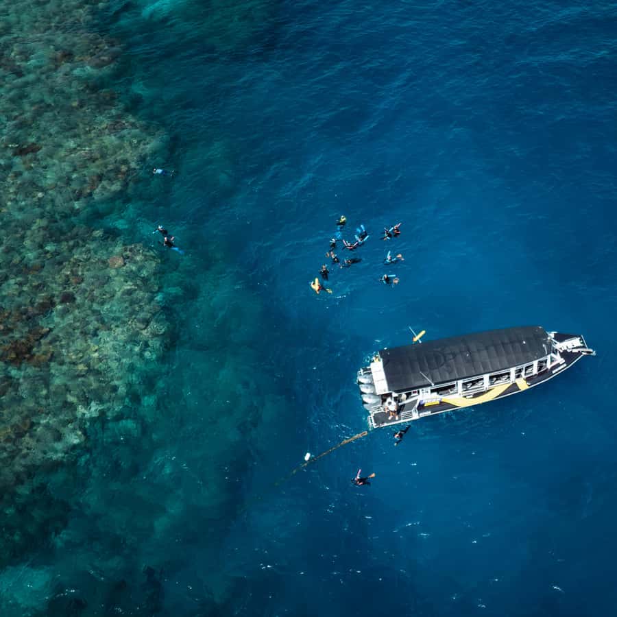 Cairns: Great Barrier Reef Half-Day Snorkelling Tour - The fast boat ride to the outer reef
