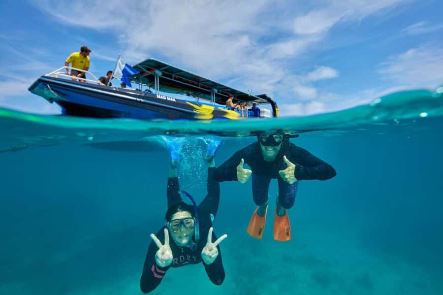 Cairns: Great Barrier Reef Half-Day Snorkelling Tour - About 1.5 hours in the water