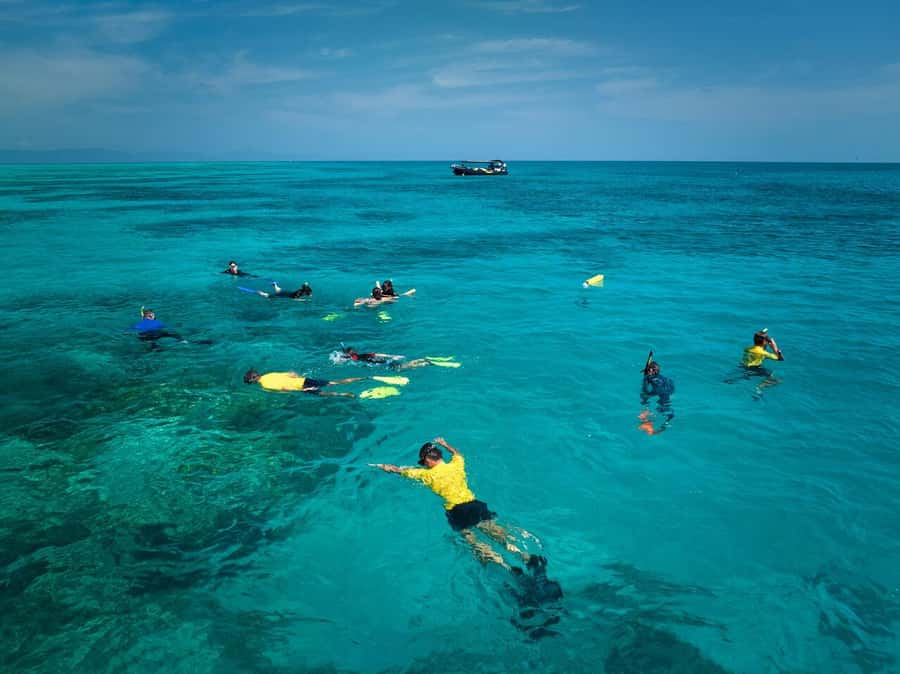 Cairns: Great Barrier Reef Half-Day Snorkelling Tour - What is included, and what costs extra