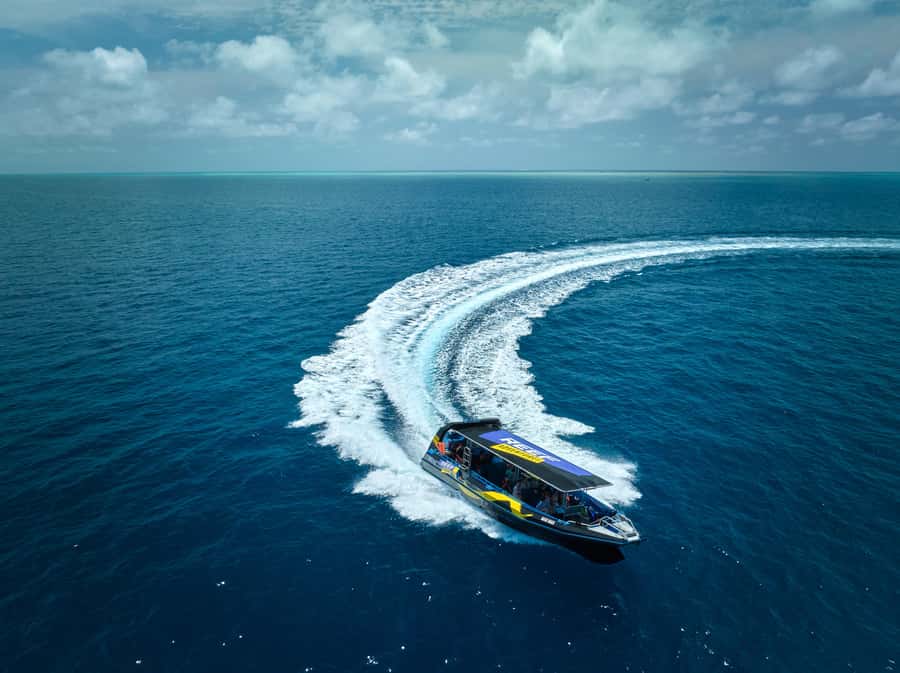 Cairns: Great Barrier Reef Half-Day Snorkelling Tour - Weather, water clarity, and the honest tradeoff