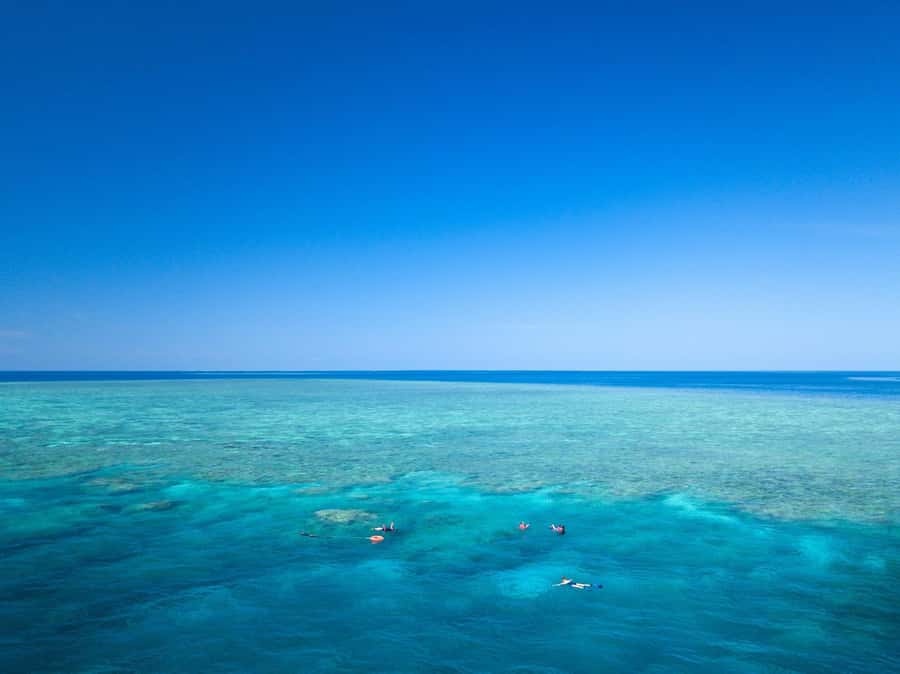 Cairns: Great Barrier Reef Overnight Snorkeling Boat Trip - Why one night changes the Great Barrier Reef experience