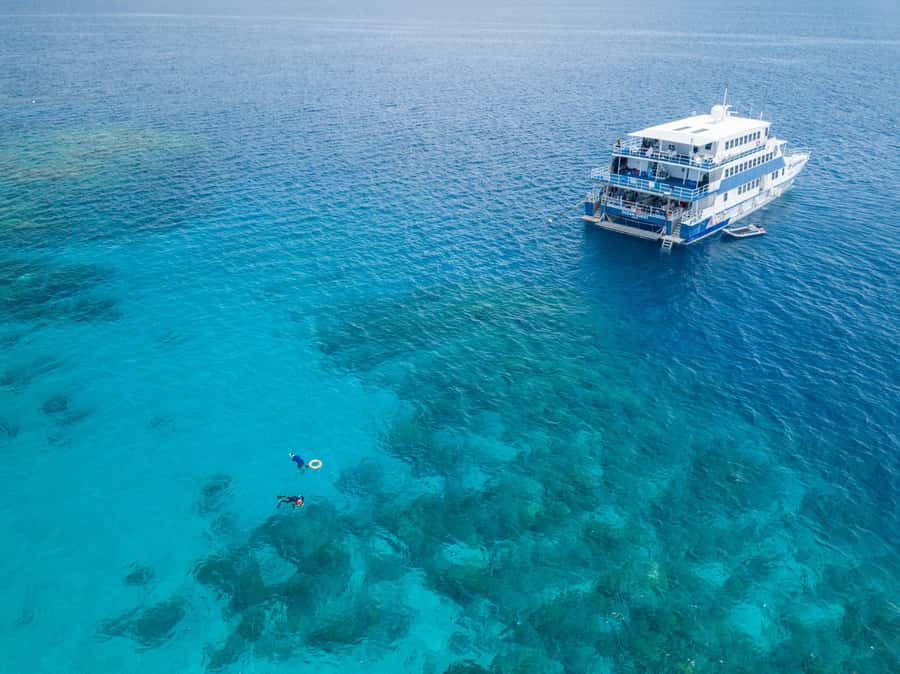Cairns: Great Barrier Reef Overnight Snorkeling Boat Trip - The reef sites around Saxon, Norman, and Hastings