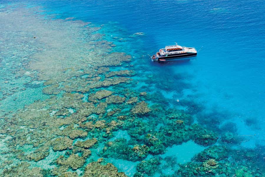 Cairns: Great Barrier Reef Premium Diving Full Day Tour - Two outer reef sites, not just a quick swim