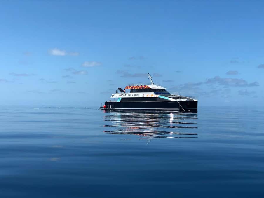Cairns: Great Barrier Reef Premium Diving Full Day Tour - The cultural story behind the reef