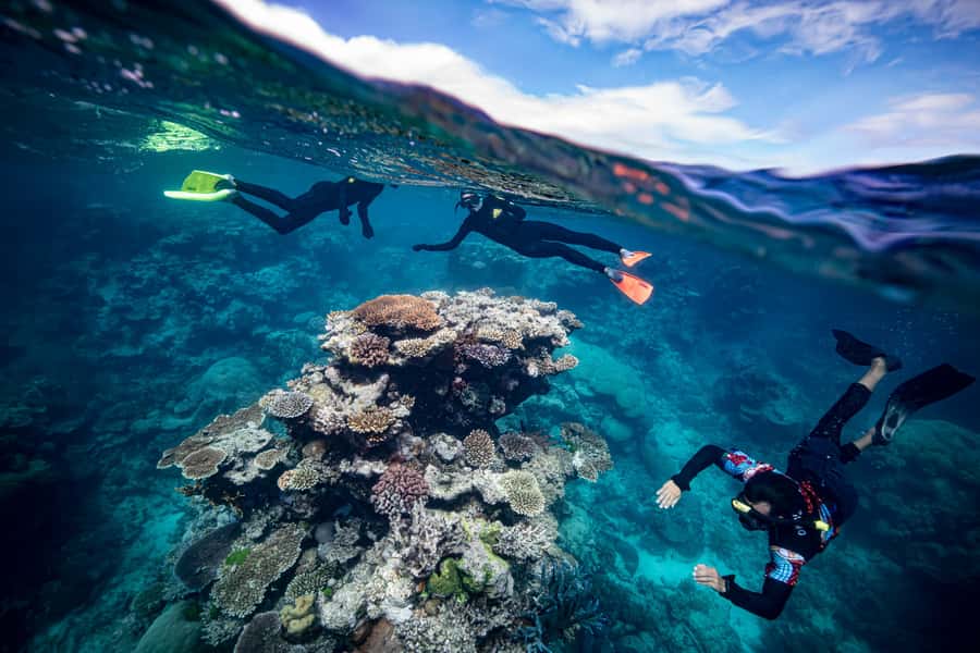 Cairns: Great Barrier Reef Premium Diving Full Day Tour - Adding an introductory scuba session