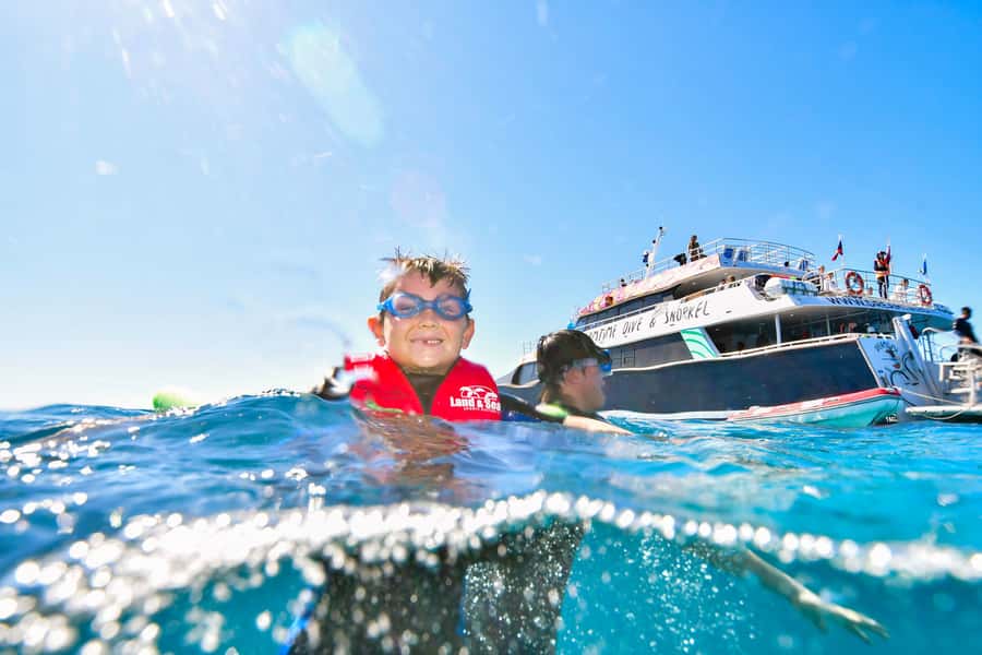 Cairns: Great Barrier Reef Premium Diving Full Day Tour - Safety, weather, and the less polished parts