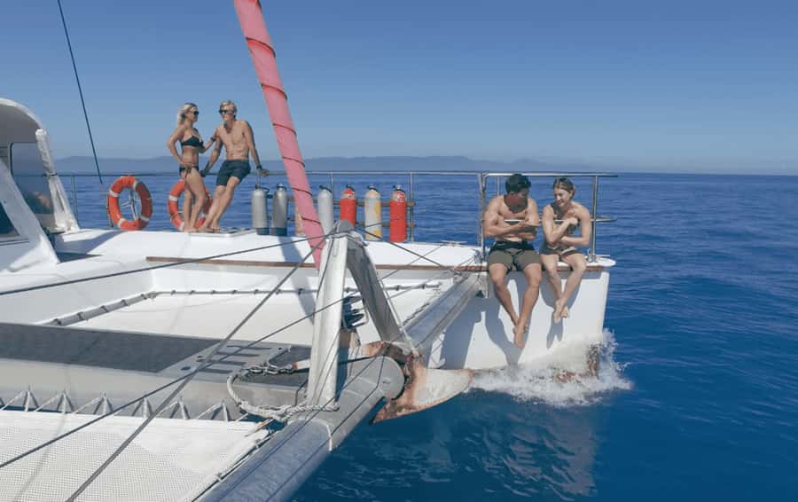 Cairns: Great Barrier Reef Snorkeling Tour with Lunch - Key points before you book