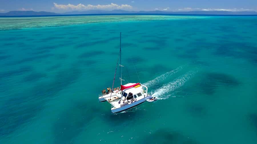 Cairns: Great Barrier Reef Snorkeling Tour with Lunch - Why Upolu Reef makes a good first Great Barrier Reef trip