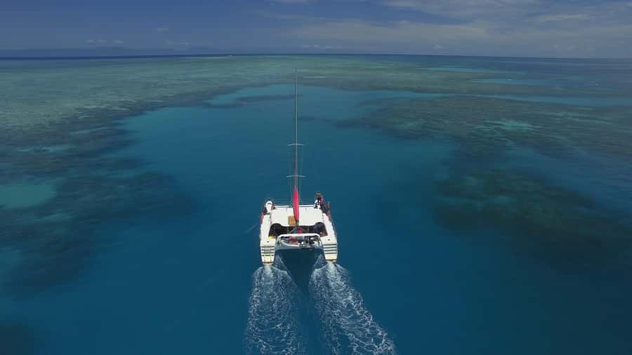 Cairns: Great Barrier Reef Snorkeling Tour with Lunch - The first reef session: get comfortable before you search