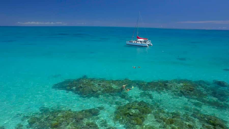 Cairns: Great Barrier Reef Snorkeling Tour with Lunch - The Cairns start: early, orderly and worth planning for