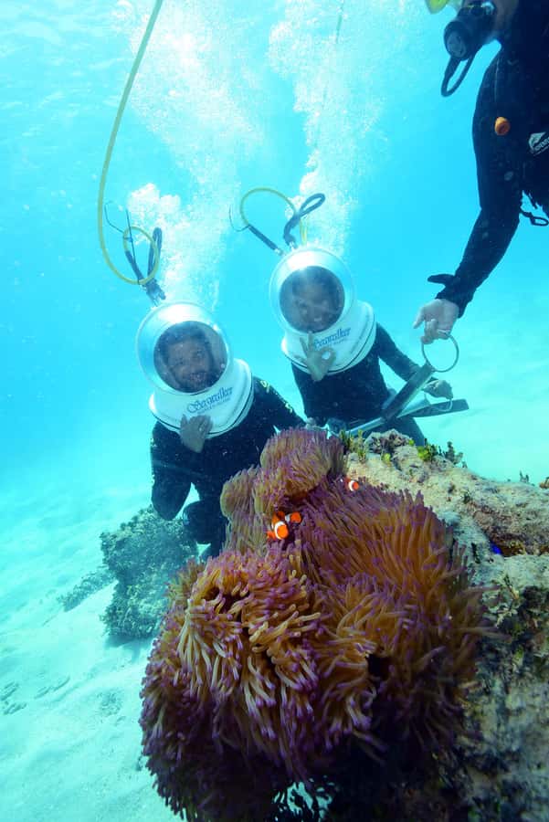 Cairns: Green Island and Seawalker Helmet Dive Combo - What makes the Seawalker experience different