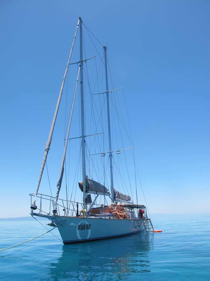Cairns: Green Island & Great Barrier Reef Sailing Tour - Who should book this Cairns sailing tour?