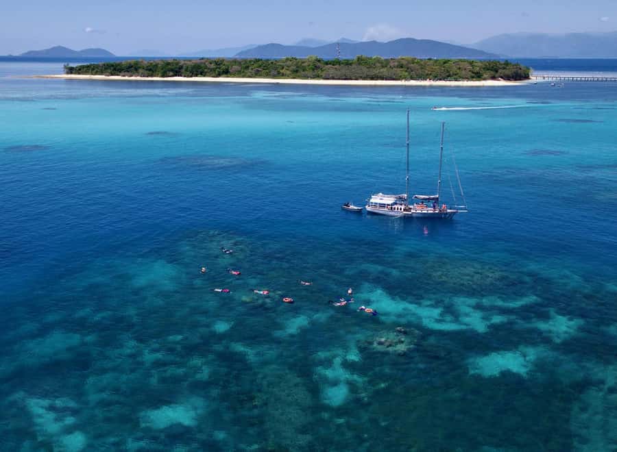 Cairns: Green Island & Great Barrier Reef Sailing Tour - Optional scuba sessions for beginners and certified swimmers