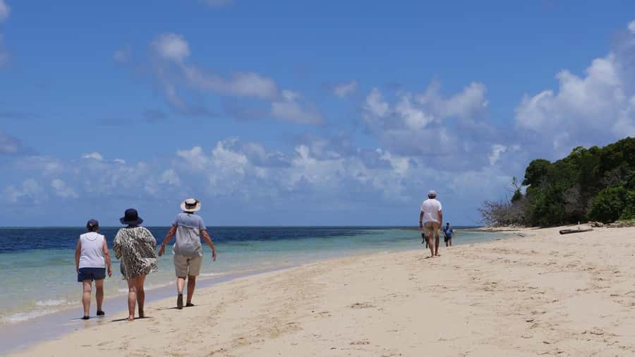 Cairns: Green Island & Great Barrier Reef Sailing Tour - Afternoon reef time and the sail home