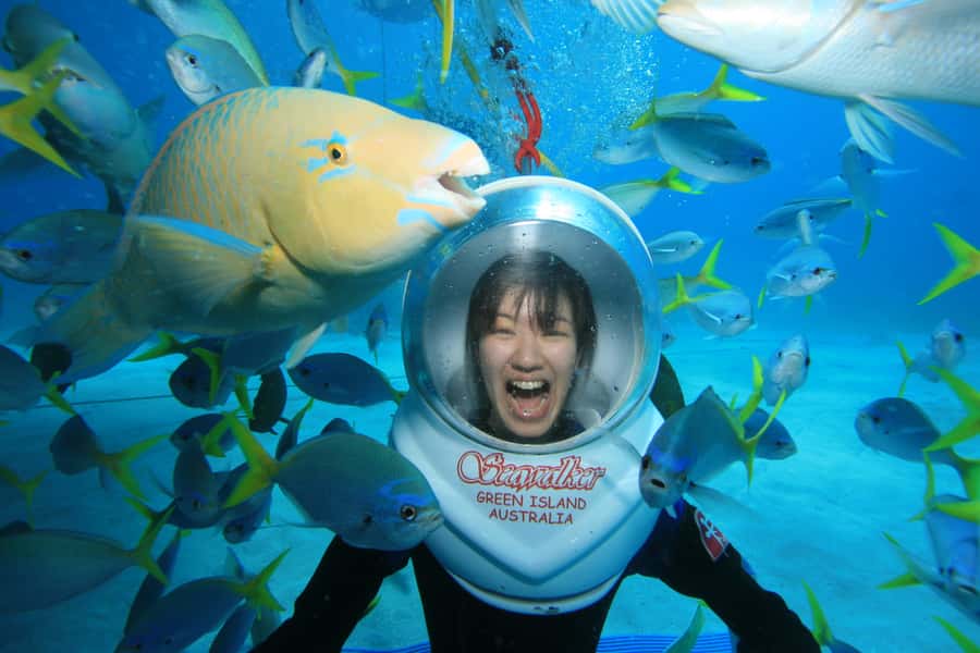 Cairns: Green Island Snorkelling or Glass Bottom Boat - Should you book the Green Island trip?
