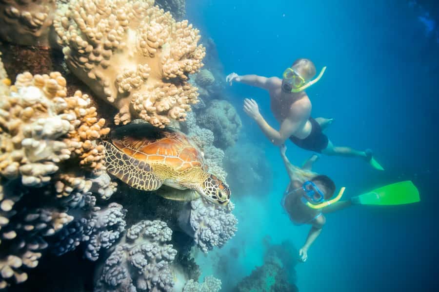 Cairns: Green Island with Snorkelling and Glass Bottom Boat - From Cairns to a coral cay in 45 minutes