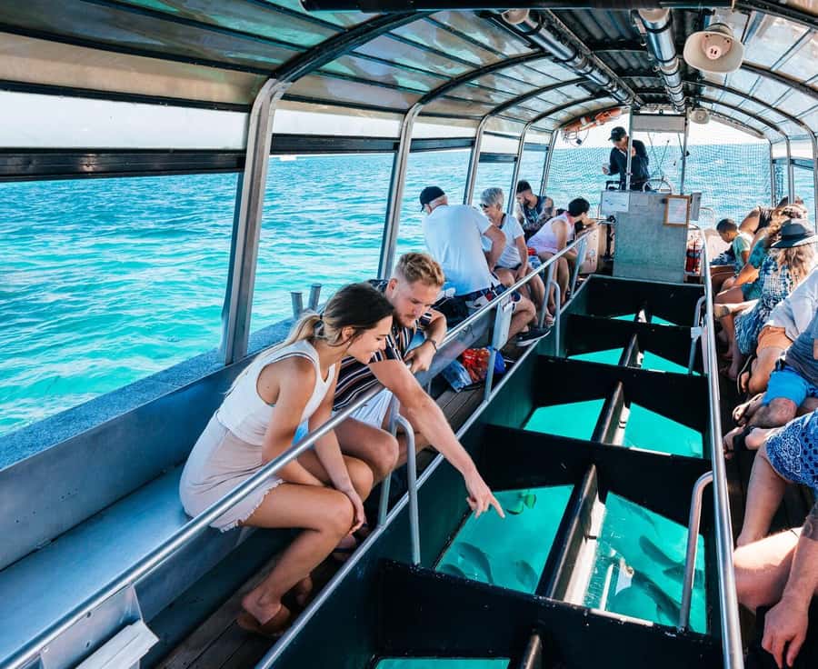 Cairns: Green Island with Snorkelling and Glass Bottom Boat - Green Island: rainforest wrapped around the reef