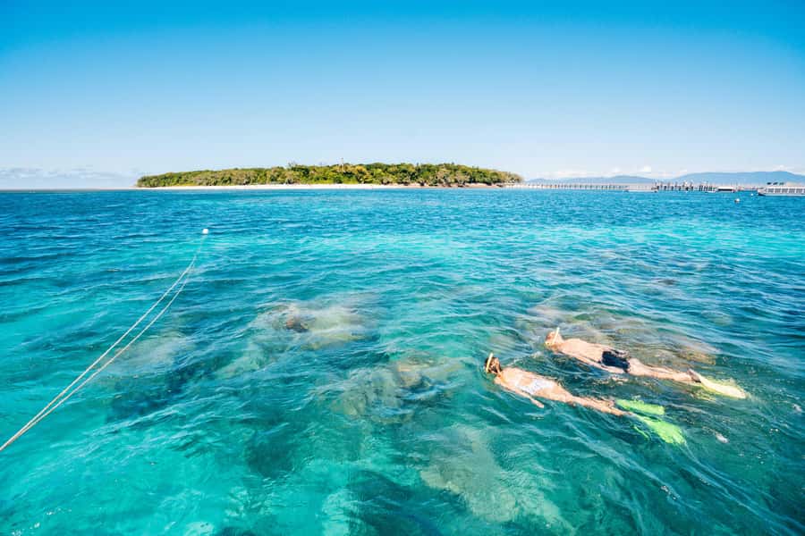 Cairns: Green Island with Snorkelling and Glass Bottom Boat - The glass bottom boat is the easy reef option
