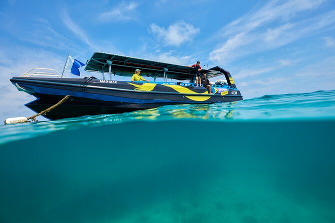 Cairns Half Day Tour a Great Barrier Reef Snorkeling Experience - Upolu Reef and the guided swim
