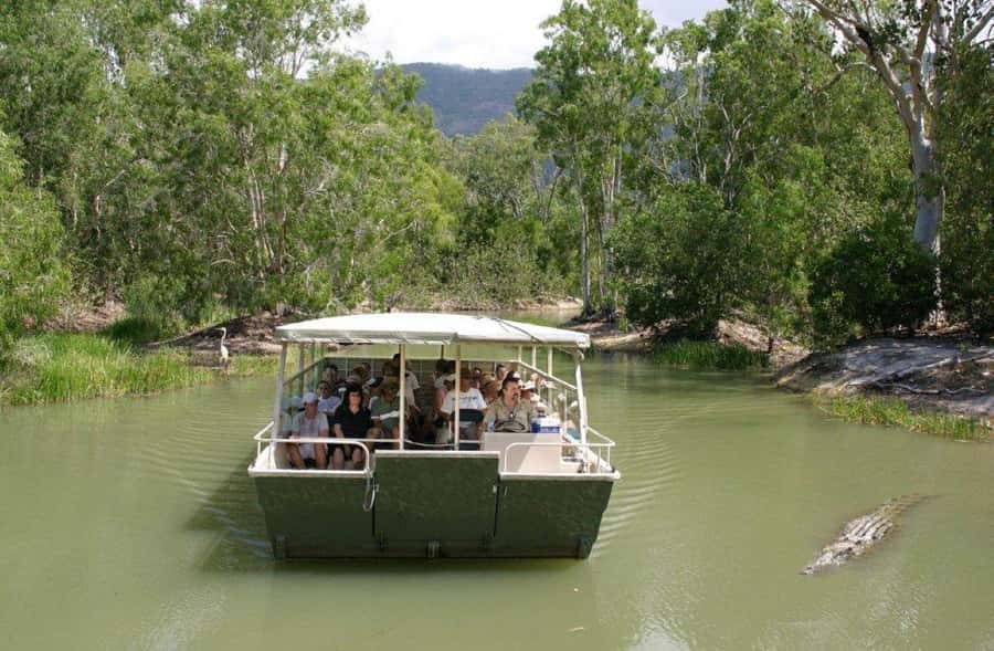 Cairns: Hartley's Crocodile Adventures Visit with Transfer - The transfer from Cairns, Palm Cove, or Port Douglas