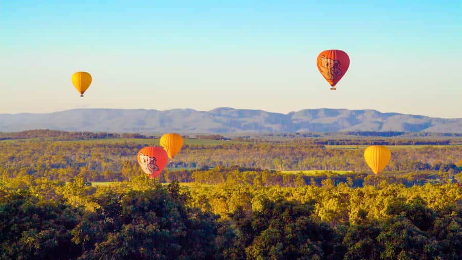 Cairns: Hot Air Balloon Flight with Transfers - Is the $350 price fair?