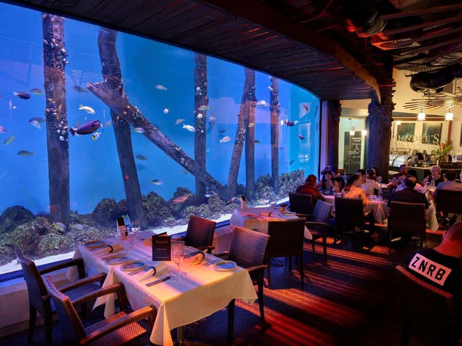 Cairns: Night at the Aquarium Guided Tour & 2 Course Dinner - Key points to know before booking