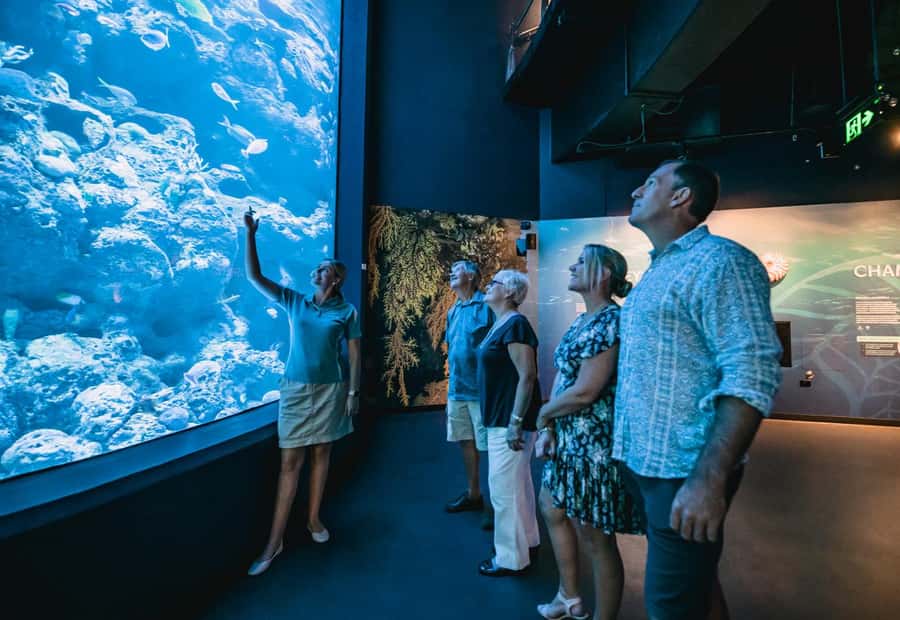 Cairns: Night at the Aquarium Guided Tour & 2 Course Dinner - Why Cairns Aquarium is different after dark