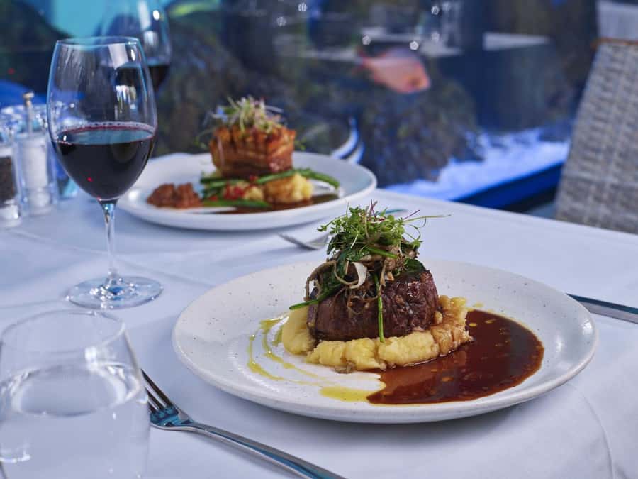Cairns: Night at the Aquarium Guided Tour & 2 Course Dinner - Ten ecosystems, from rainforest to reef