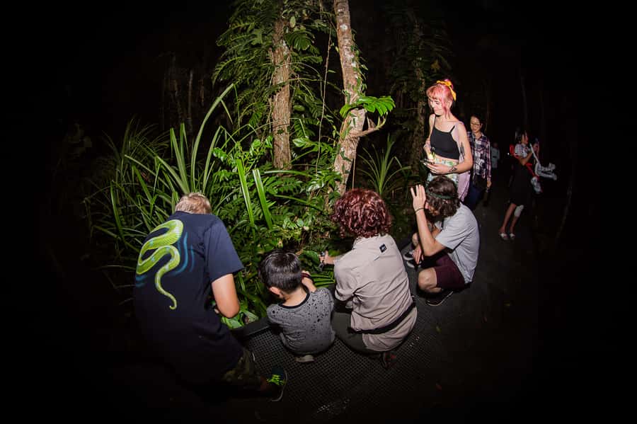 Cairns: Night Walk in Cairns Botanic Gardens - How much value do you get for $56?