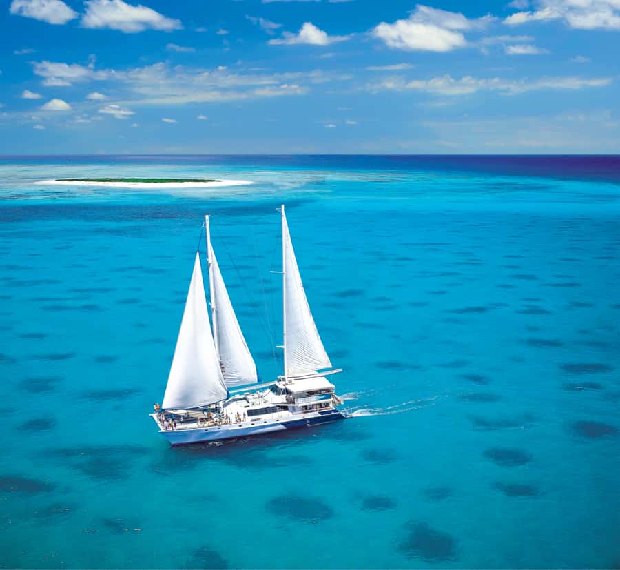 Cairns: Ocean Spirit Great Barrier Reef Full Day Tour - Snorkeling in shallow reef water
