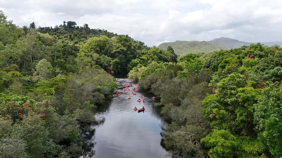 Cairns or Northern Beaches: Rainforest River Tubing - The guides are a major part of the value