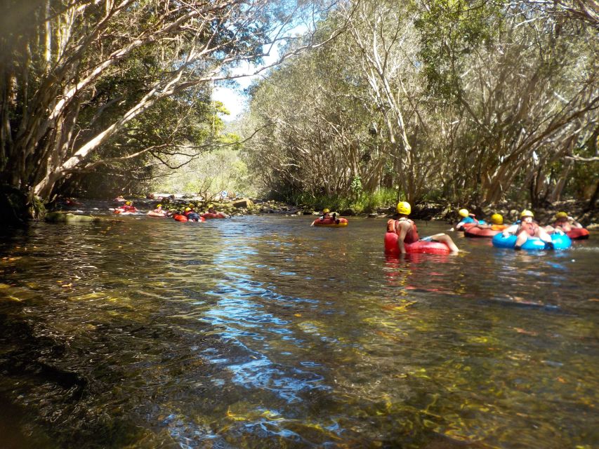 Cairns or Northern Beaches: Rainforest River Tubing - Small rapids add just enough excitement