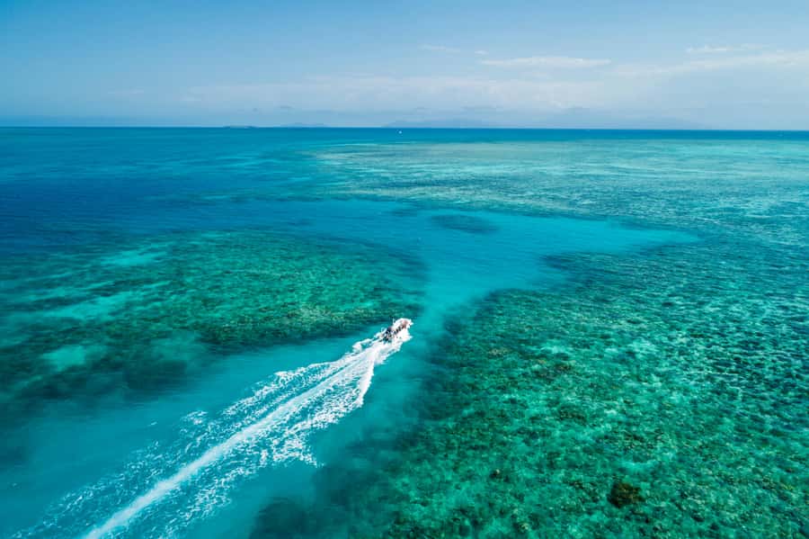 Cairns: Outer and Coral Cay Snorkel and Dive Cruise - A fast morning run from Cairns